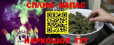 гашик Моздок