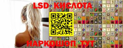 гашик Моздок