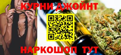 гашик Моздок