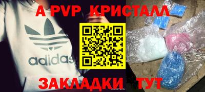 гашик Моздок